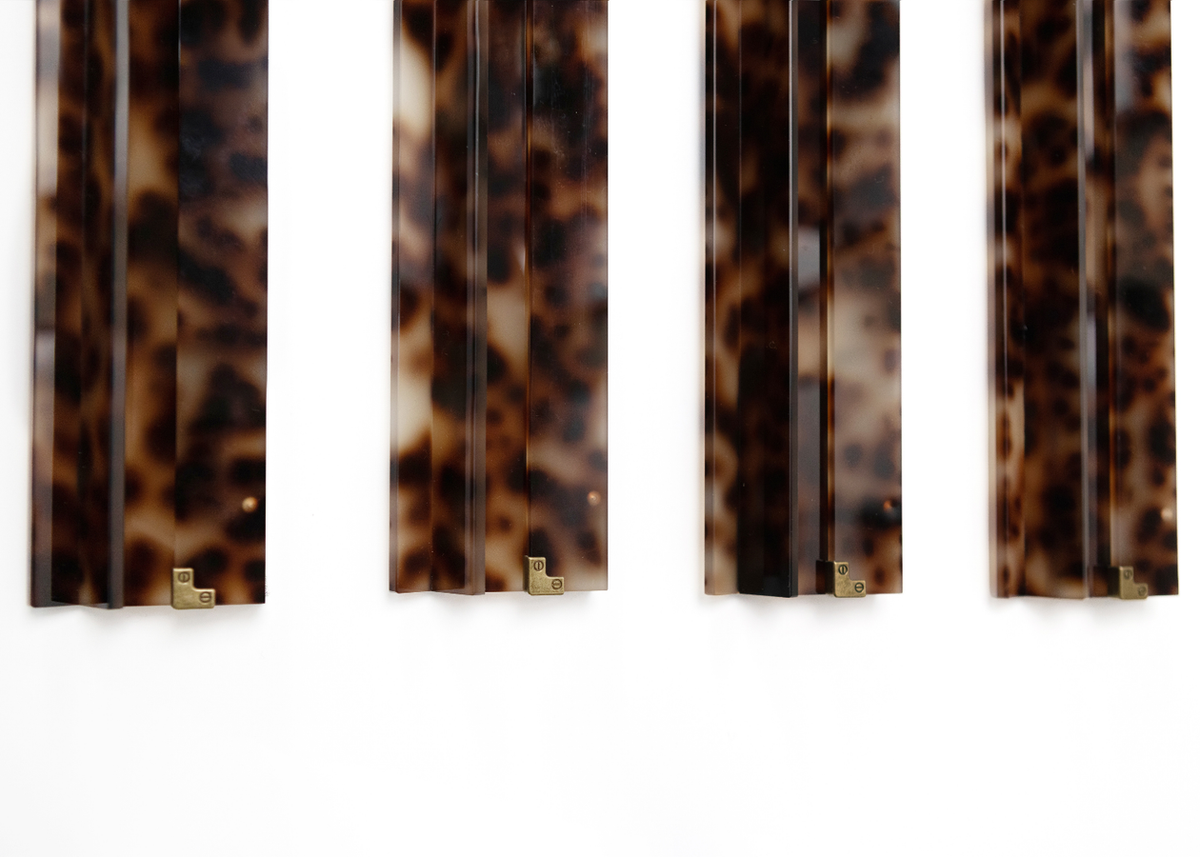 BLONDE TORTOISE AND BRASS ACRYLIC RACKS